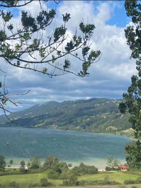 Fewo Alpenwiese Mit Hallenbad&Sauna Missen-Wilhams Exterior foto