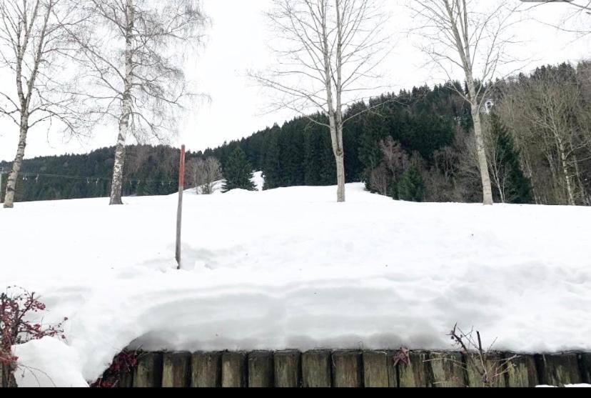 Fewo Alpenwiese Mit Hallenbad&Sauna Missen-Wilhams Exterior foto
