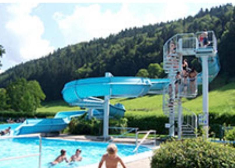 Fewo Alpenwiese Mit Hallenbad&Sauna Missen-Wilhams Exterior foto