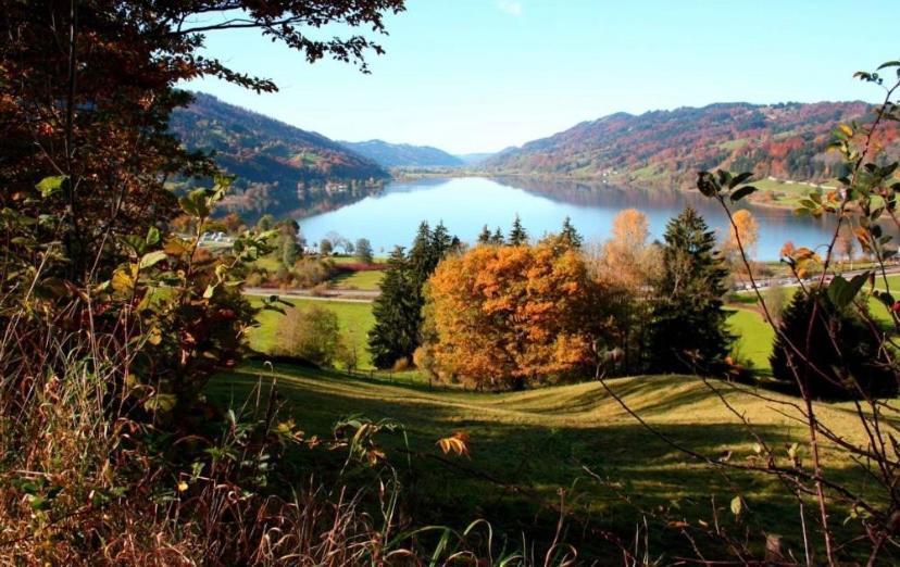 Fewo Alpenwiese Mit Hallenbad&Sauna Missen-Wilhams Exterior foto